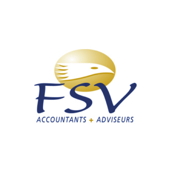 FSV accountants logo Dark